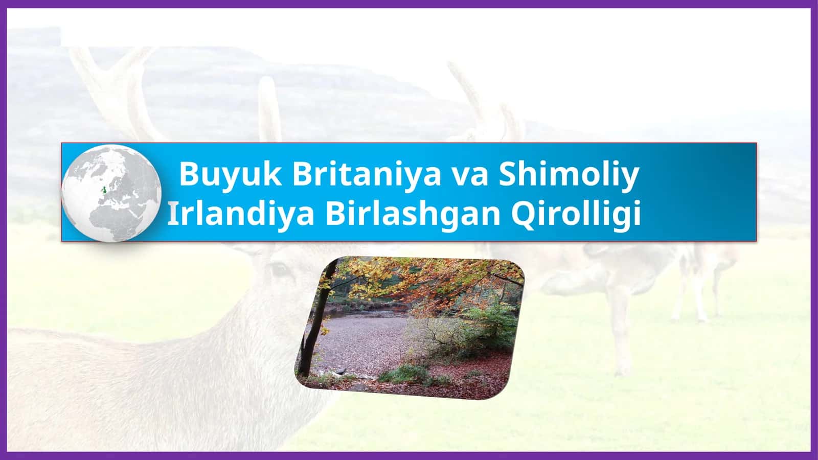 Buyuk Britaniya va Shimoliy Irlandiya Birlashgan Qirolligi. 10-sinf geografiya dars ishlanma