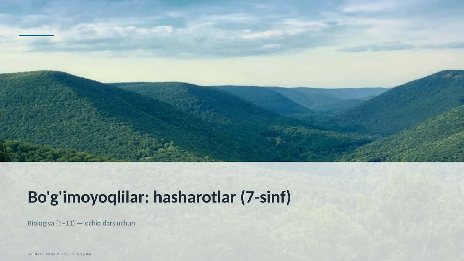 Bo'g'imoyoqlilar: hasharotlar (7-sinf)