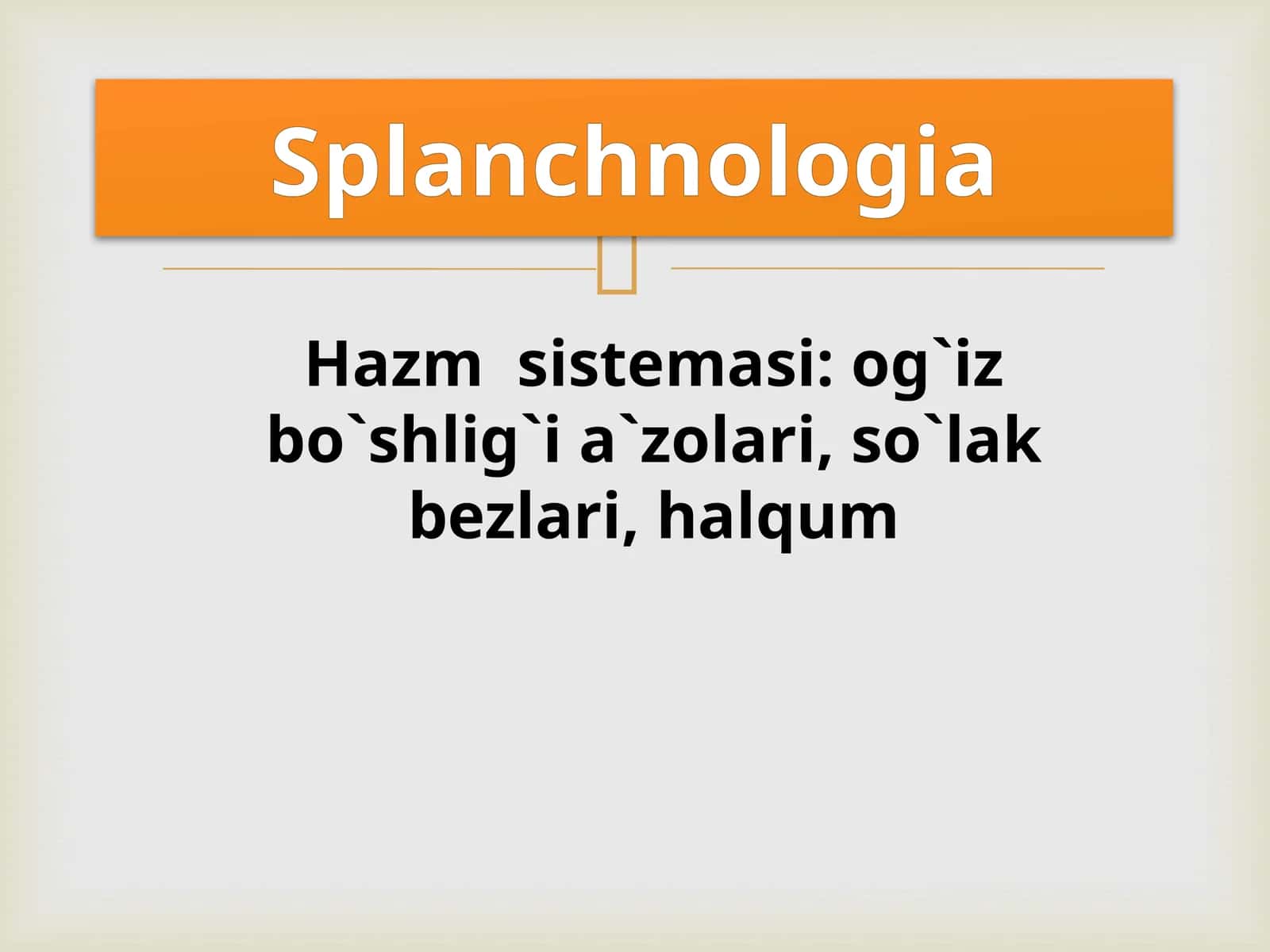 Hazm sistemasi: og`iz bo`shlig`i a`zolari, so`lak bezlari, halqum/Splanchnologia