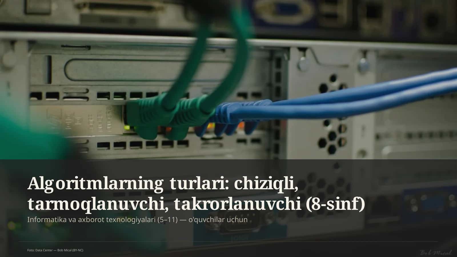 Algoritm turlari: chiziqli, tarmoqlanuvchi, takrorlanuvchi (8-sinf)