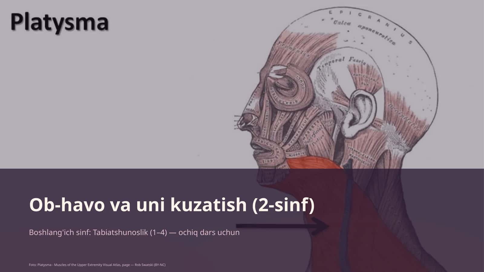 Ob-havo va uni kuzatish (2-sinf)