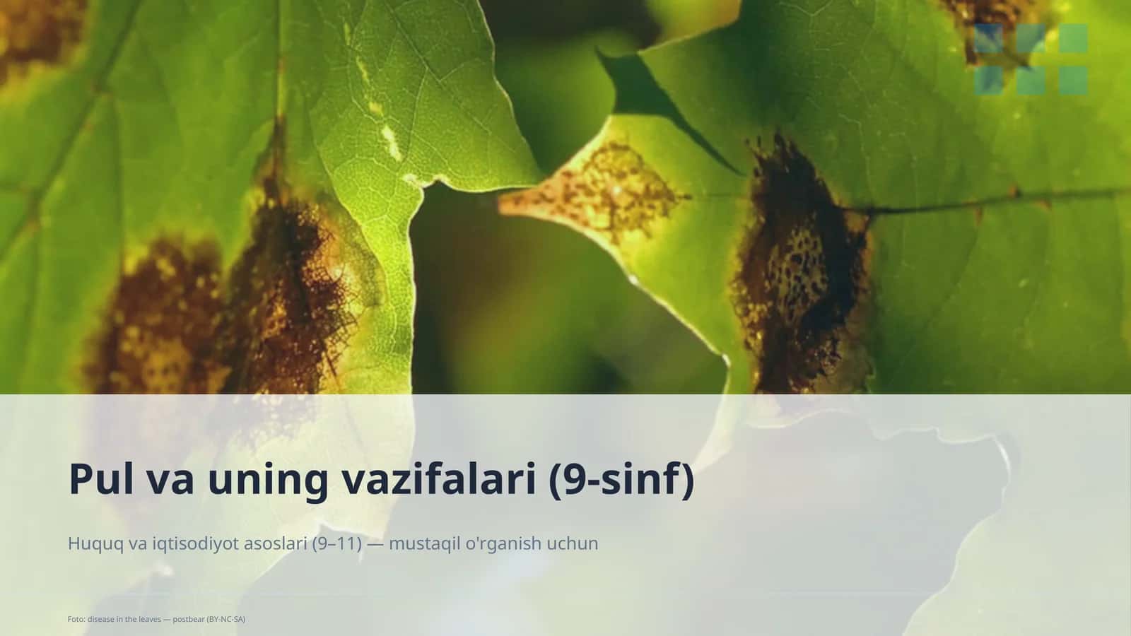 Pul va uning vazifalari (9-sinf)