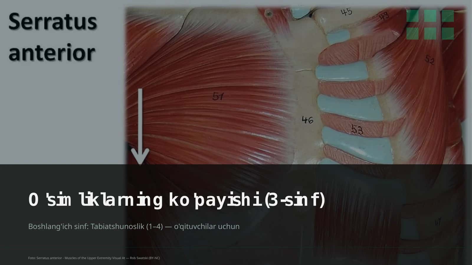 O'simliklarning ko'payishi (3-sinf)