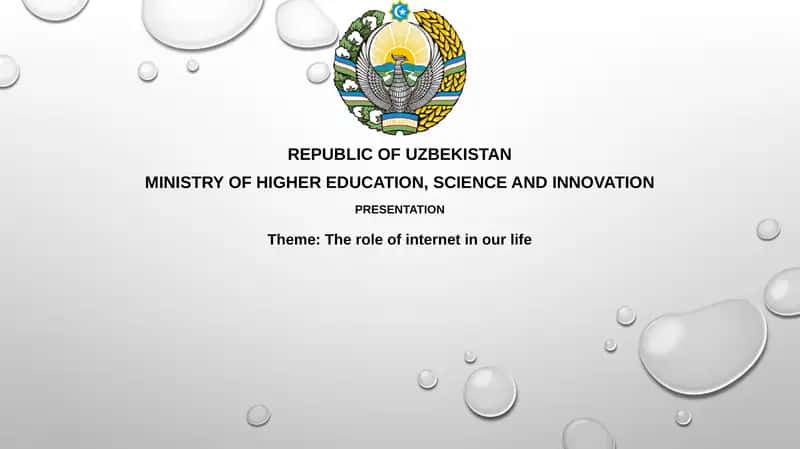 The role of internet in ourlife