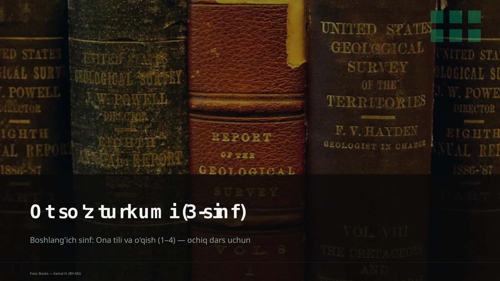 Ot so'z turkumi (3-sinf)