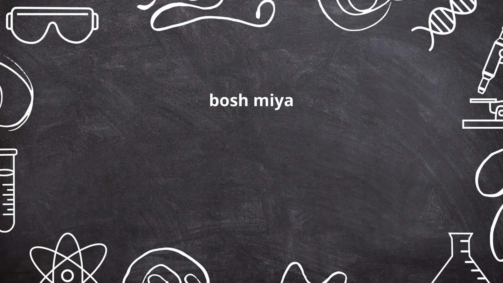 Bosh miya anatomiyasi