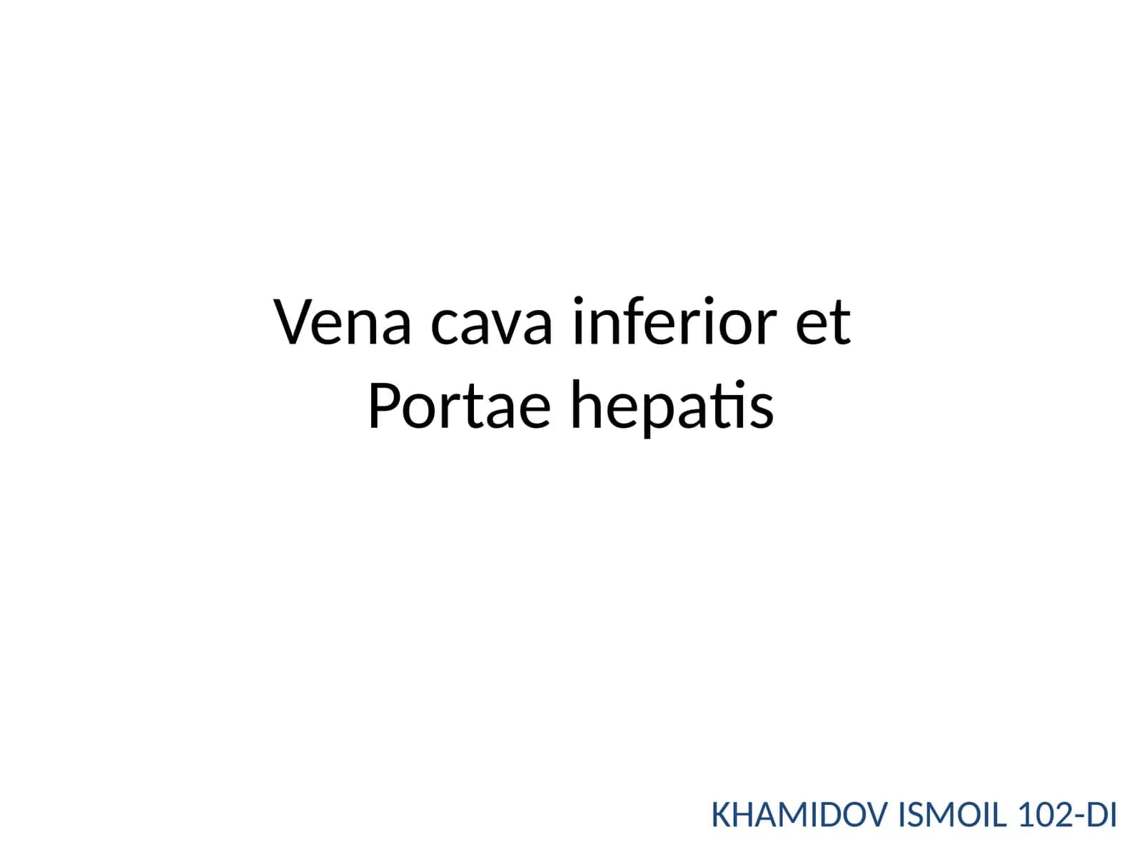 Vena cava inferior etPortaehepatis
