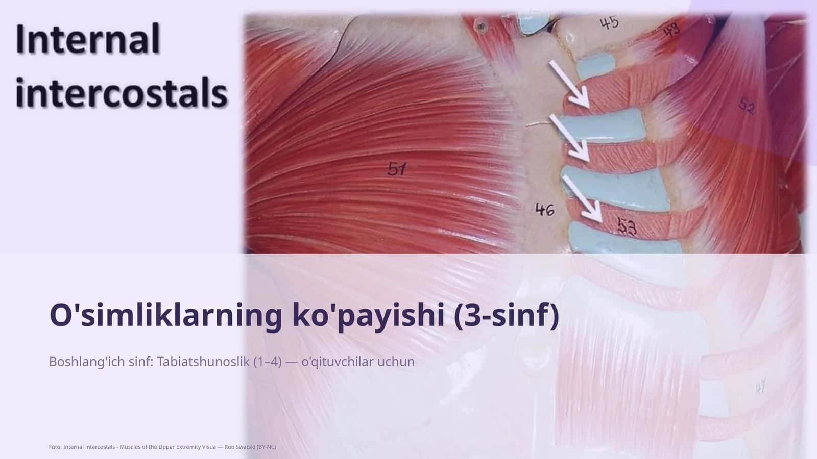 O'simliklarning ko'payishi (3-sinf)