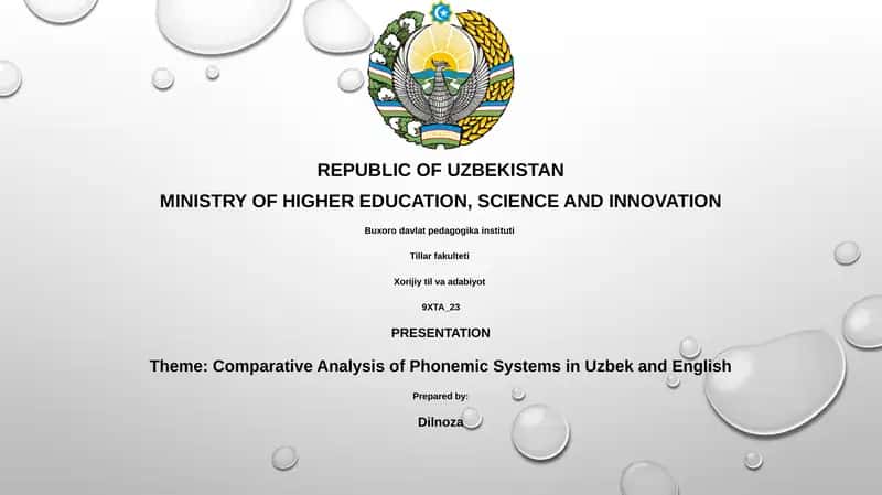 Comparative Analysis of Phonemic Systems in Uzbek and English