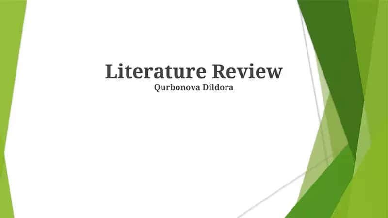Literature Review