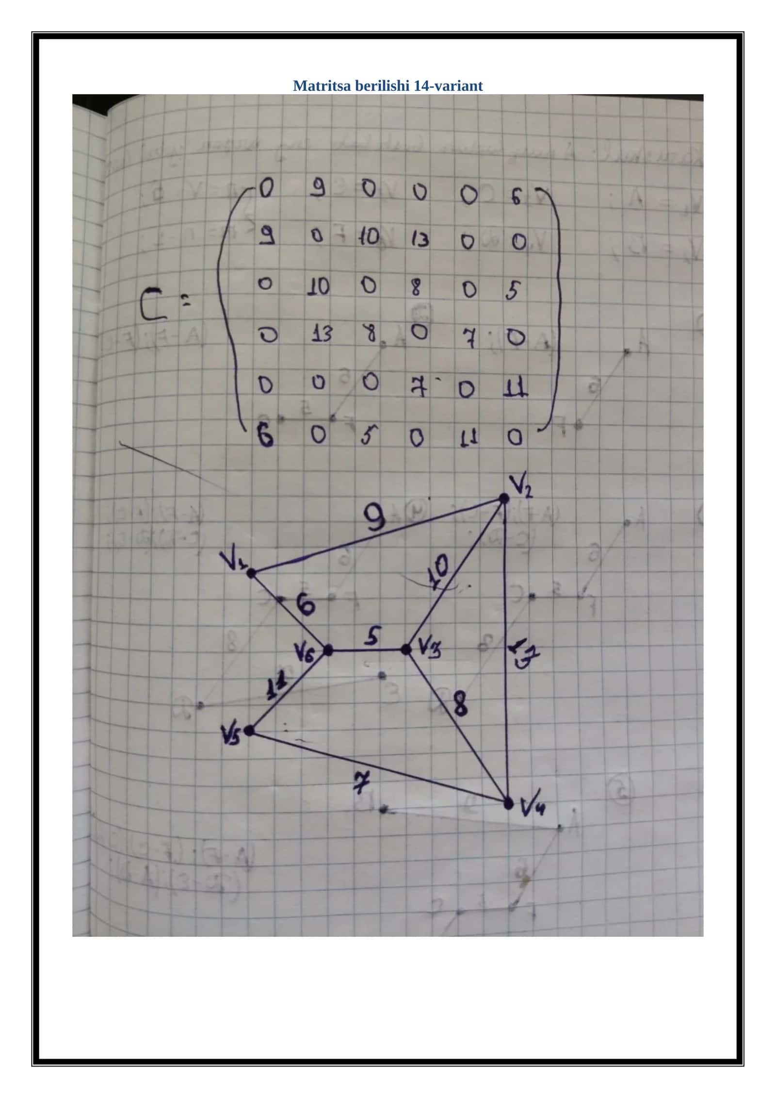 Matritsa berilishi 14-variant