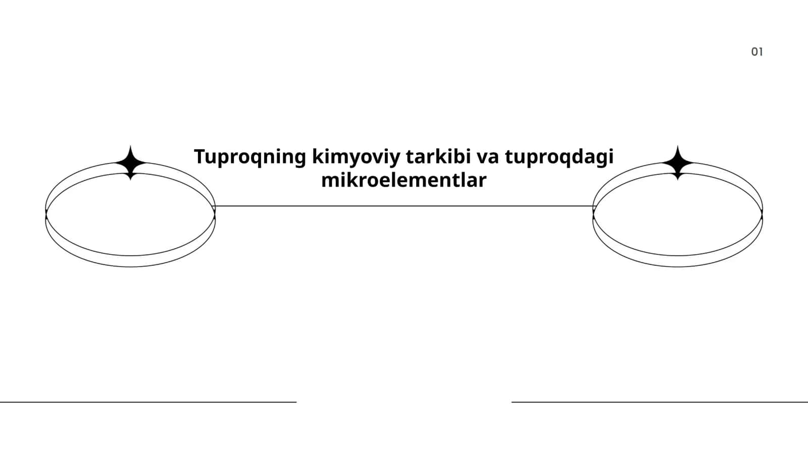 Tuproqning kimyoviy tarkibi va tuproqdagi mikroelementlar