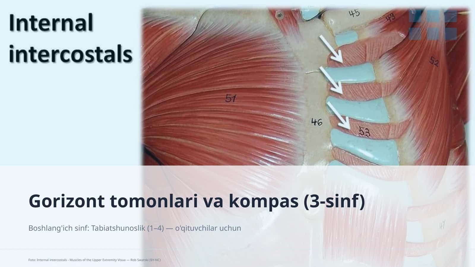 Gorizont tomonlari va kompas (3-sinf)