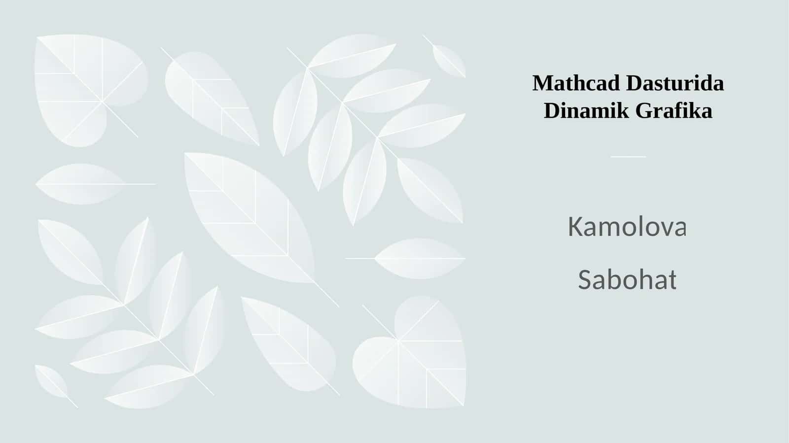 Mathcad Dasturida Dinamik Grafika