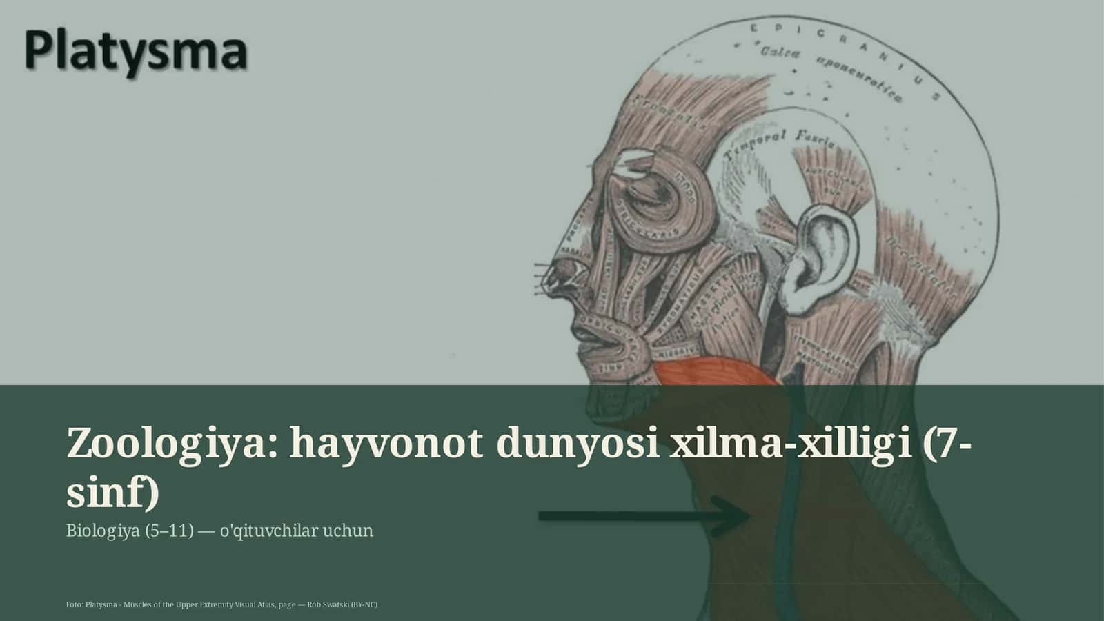 Zoologiya: hayvonot dunyosi xilma-xilligi (7-sinf)