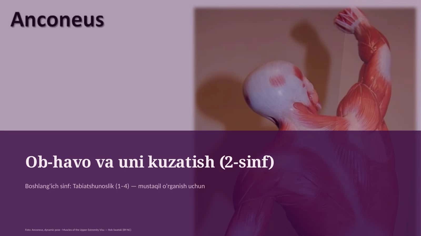 Ob-havo va uni kuzatish (2-sinf)