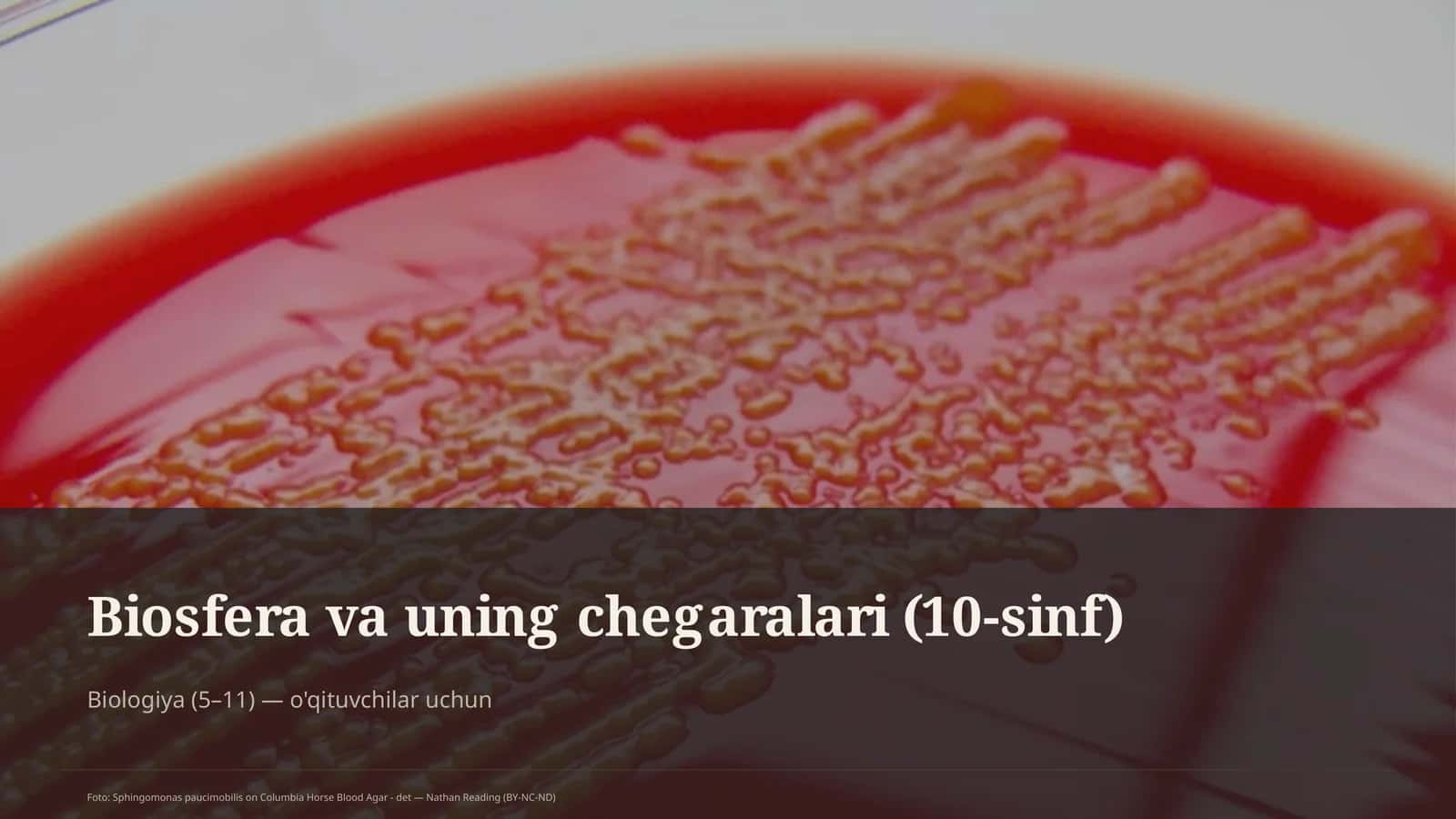 Biosfera va uning chegaralari (10-sinf)