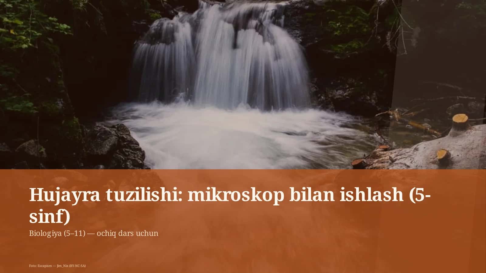 Hujayra tuzilishi: mikroskop bilan ishlash (5-sinf)