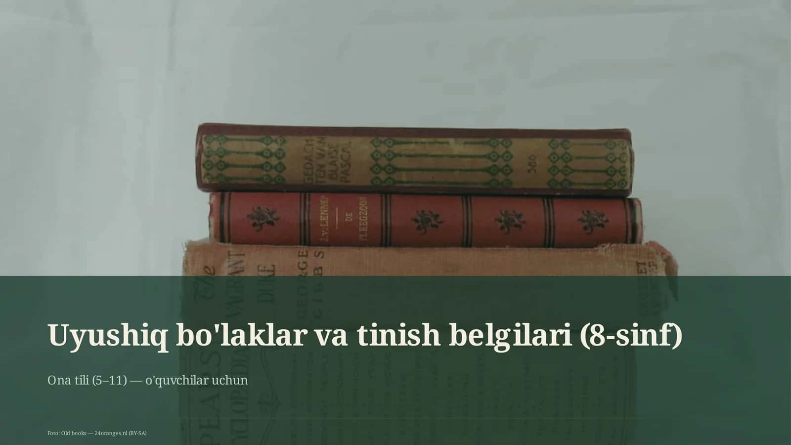 Uyushiq bo'laklar va tinish belgilari (8-sinf)