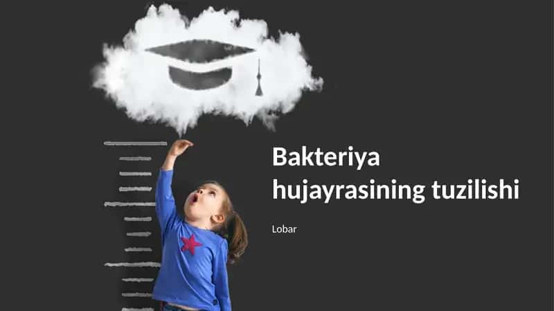 Bakteriya hujayrasining tuzilishi