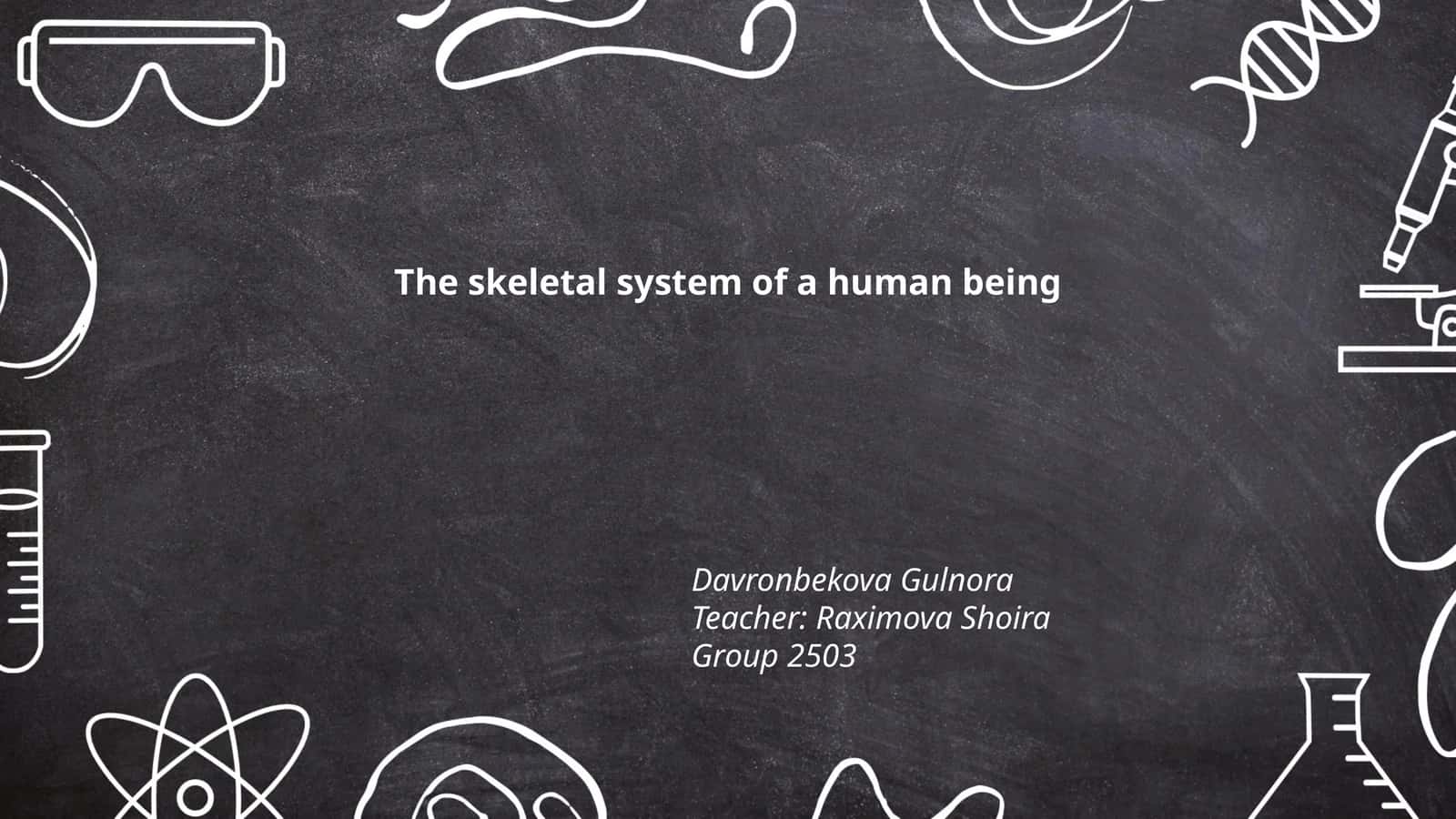 The skeletal system of a human being