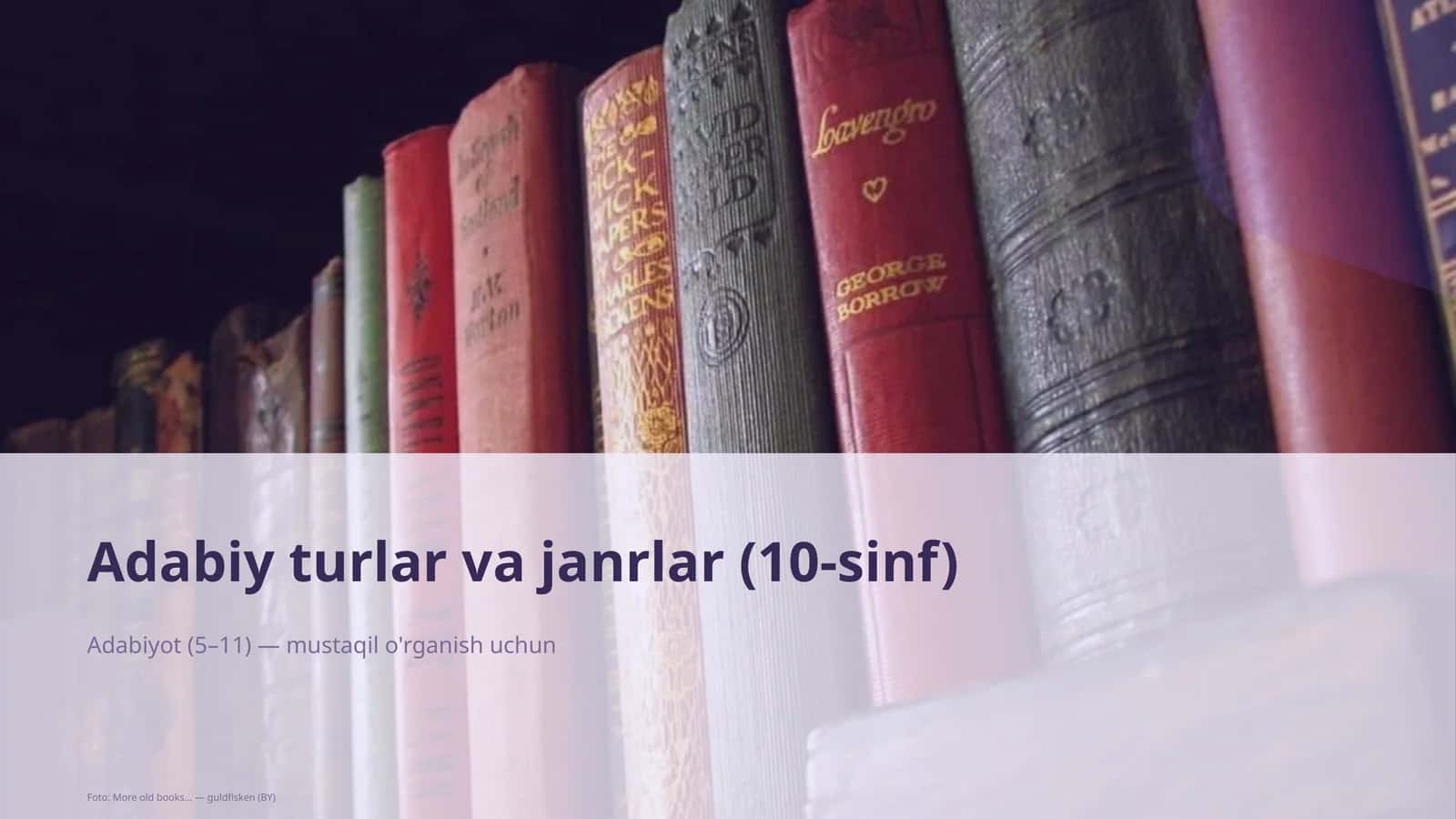 Adabiy turlar va janrlar (10-sinf)