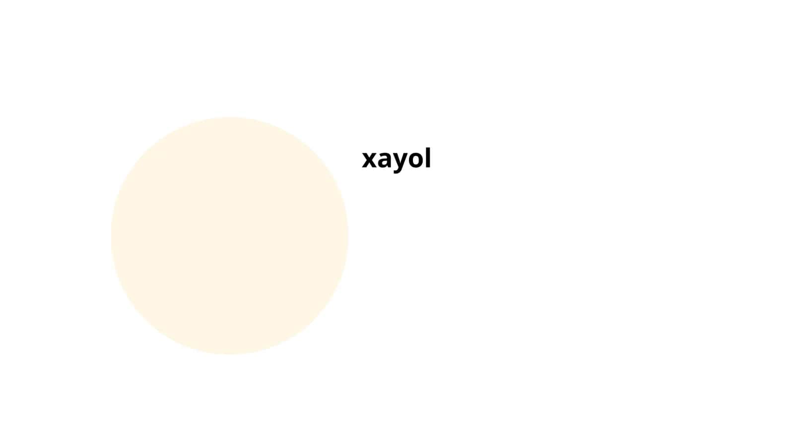 Xayol va ijodkorlik