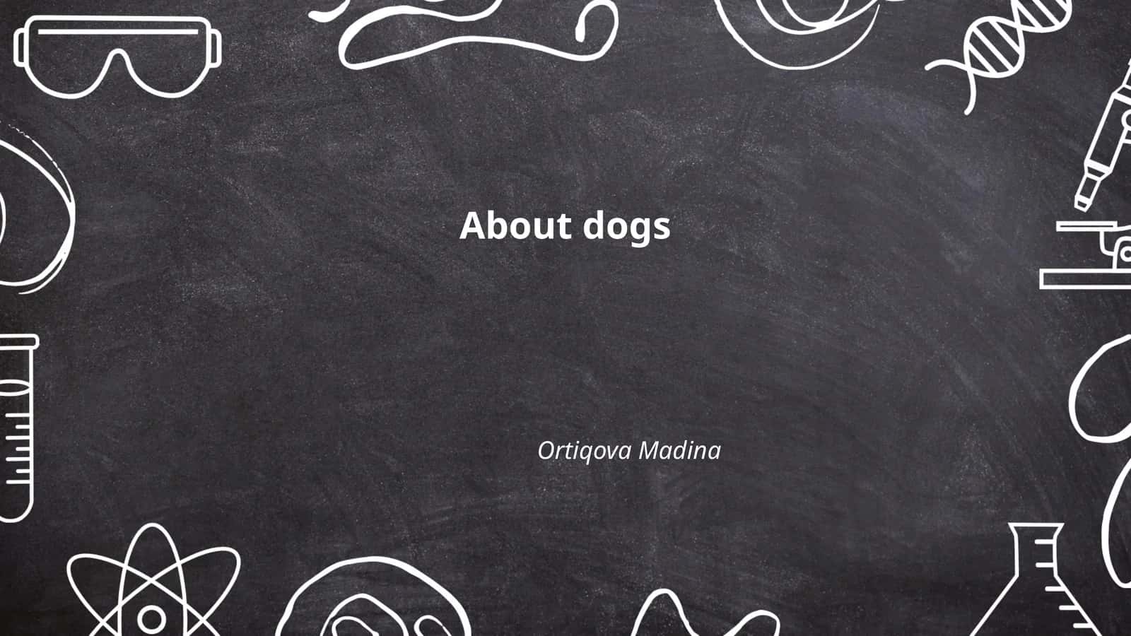 About dogs