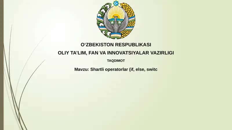 Shartli operatorlar (if, else, switch)