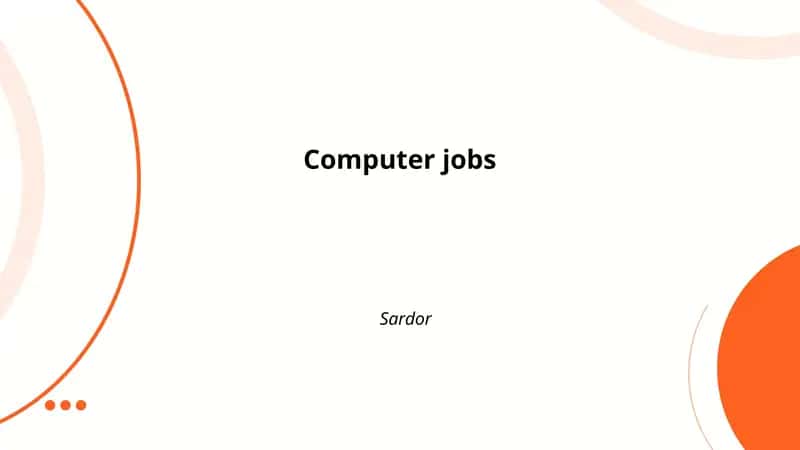 Software Developer