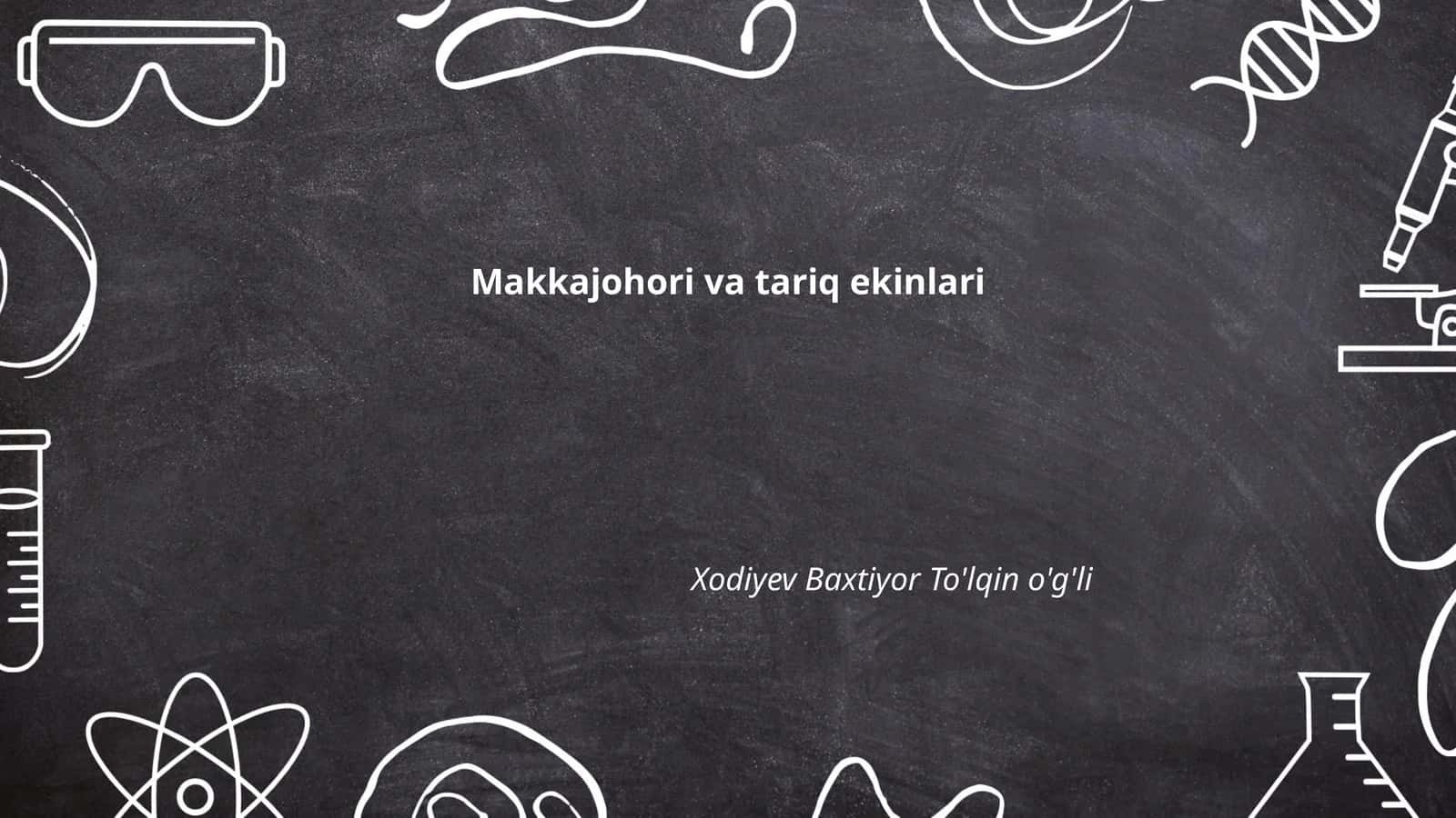 Makkajohori va tariq ekinlari