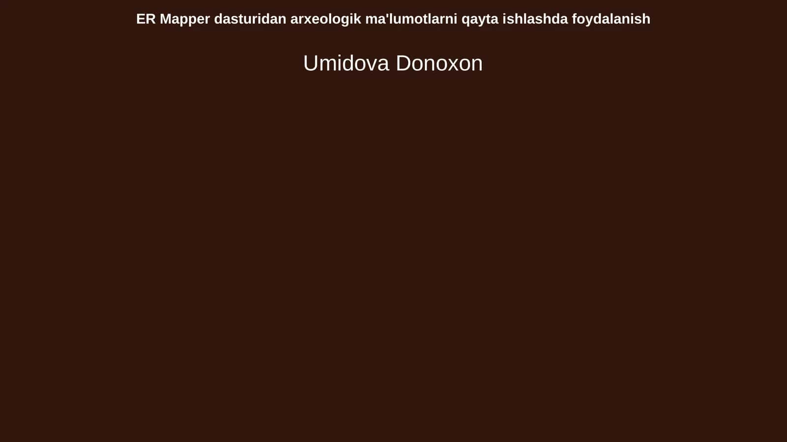 ER Mapper dasturi