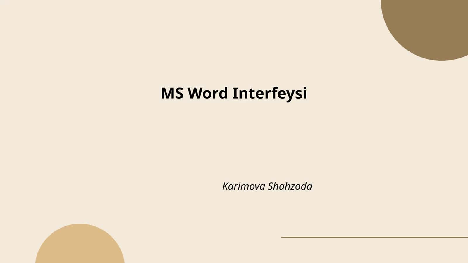 MS Word Interfeysi