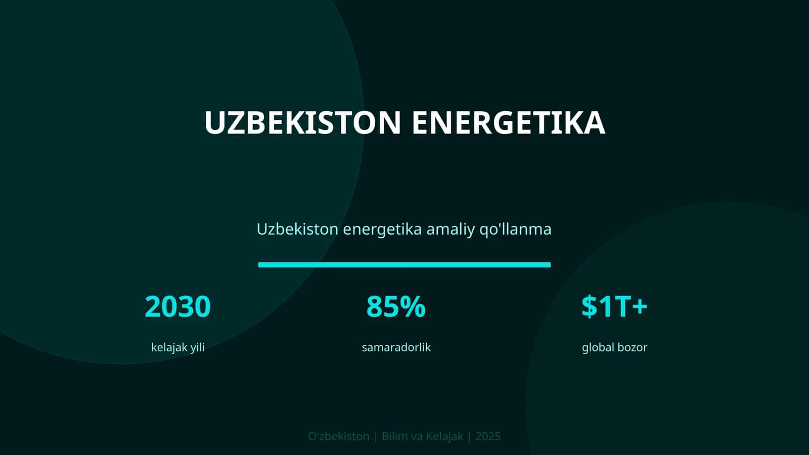 Uzbekiston energetika amaliy qo'llanma