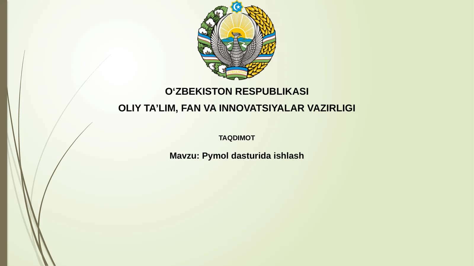 PyMOL dasturida ishlash
