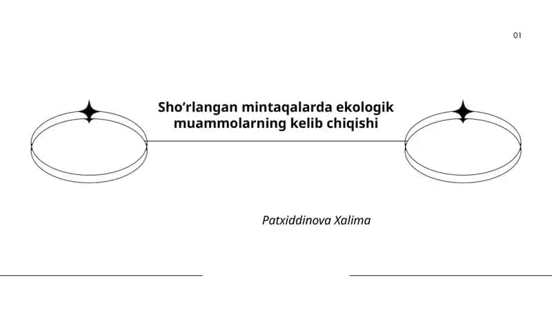 Shoʻrlangan mintaqalarda ekologik muammolarning kelib chiqishi