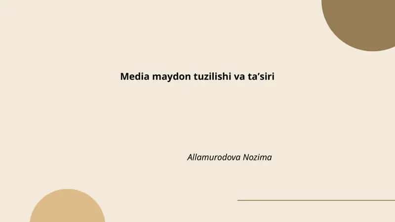 Media maydon tuzilishi va taʼsiri