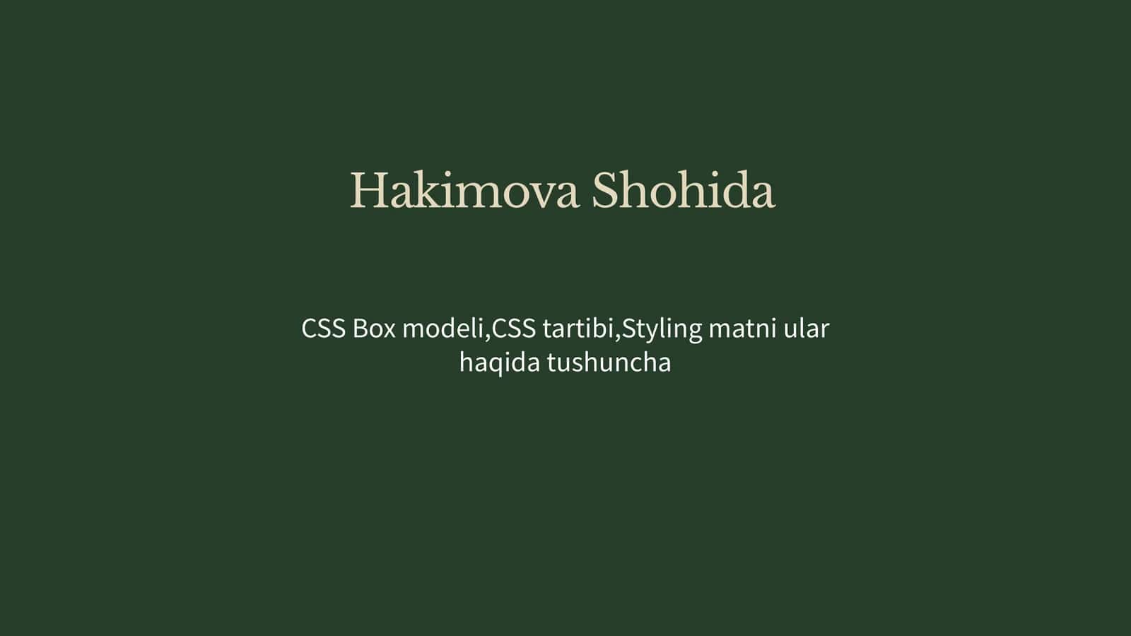 CSS Boxmodeli