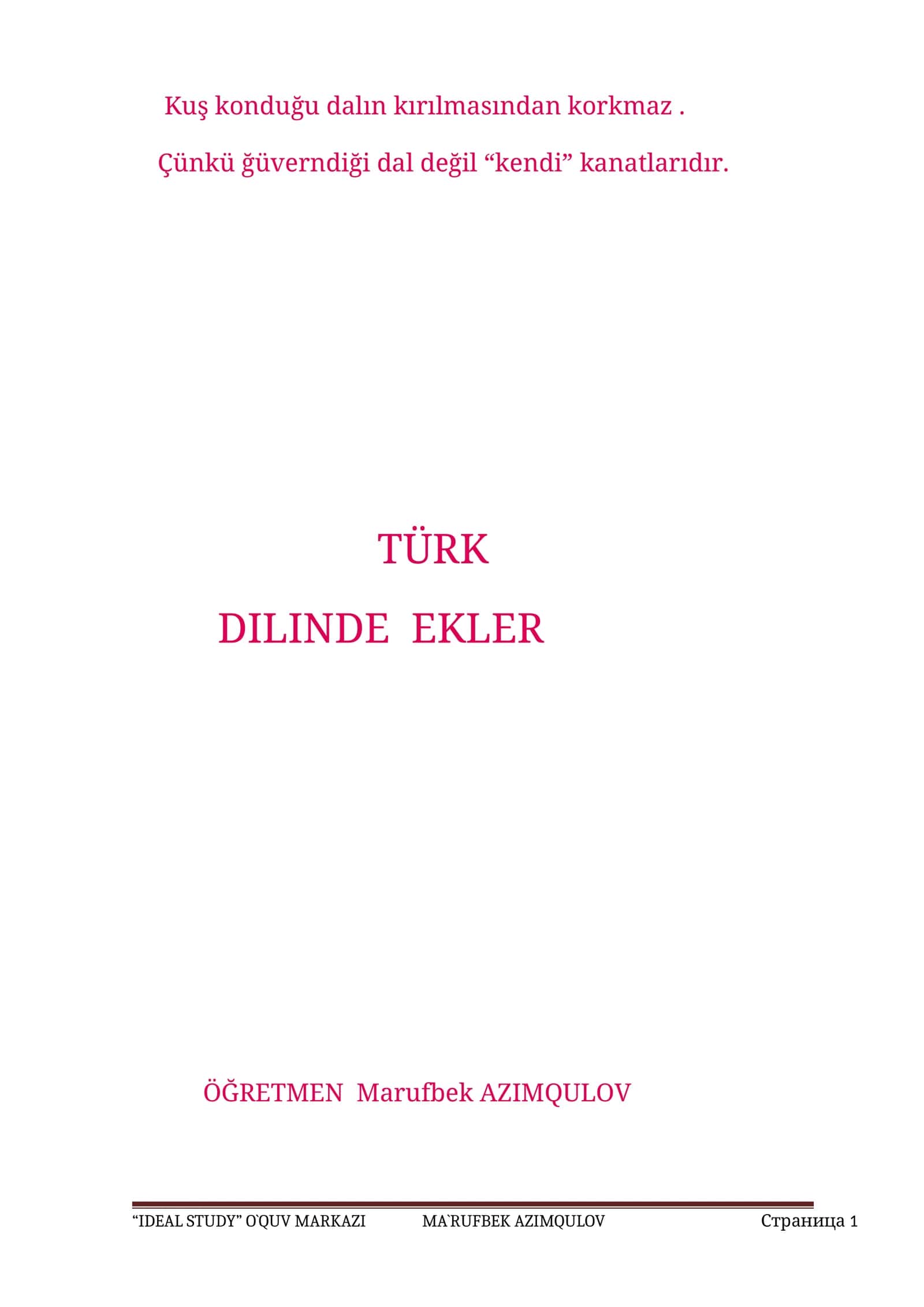 TÜRK DILINDE EKLER