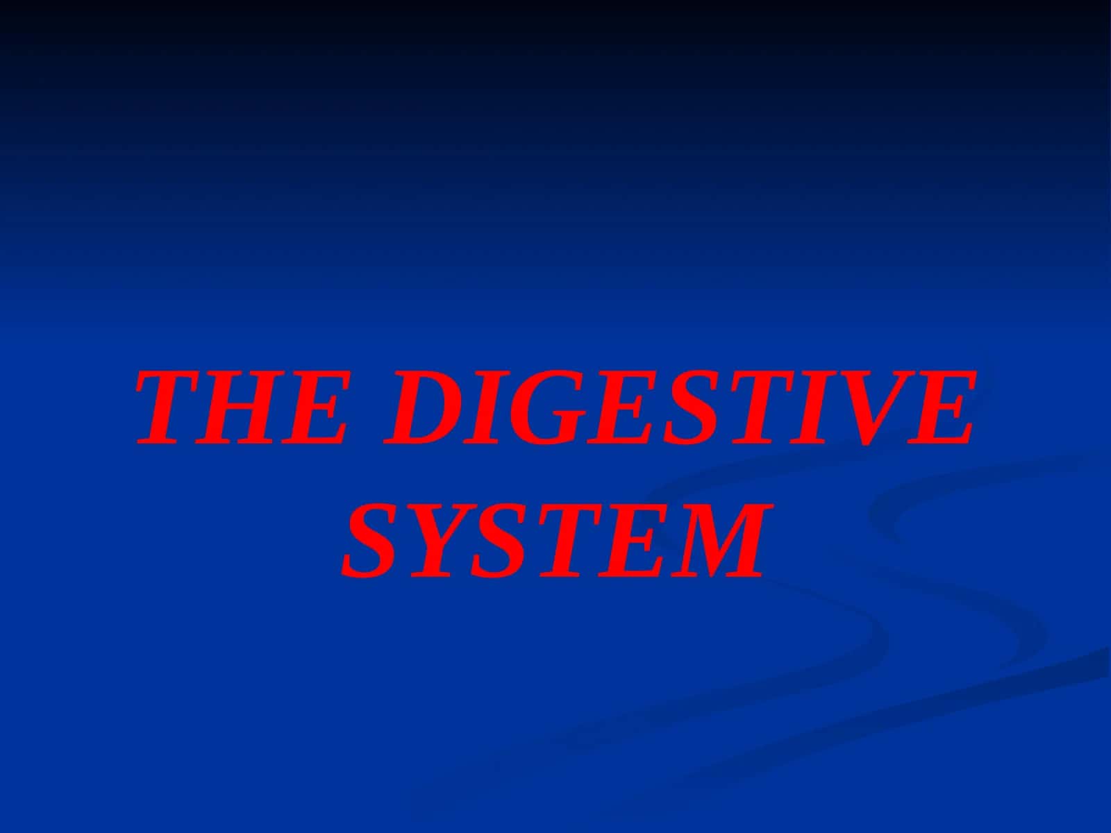 Digestive System
