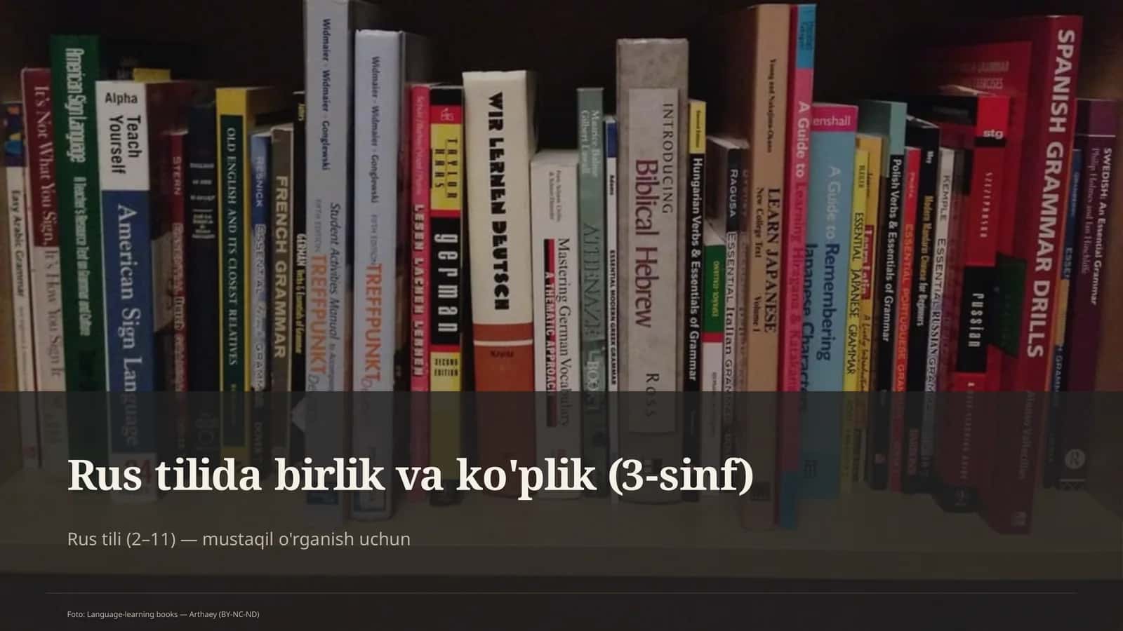Rus tilida birlik va ko'plik (3-sinf)
