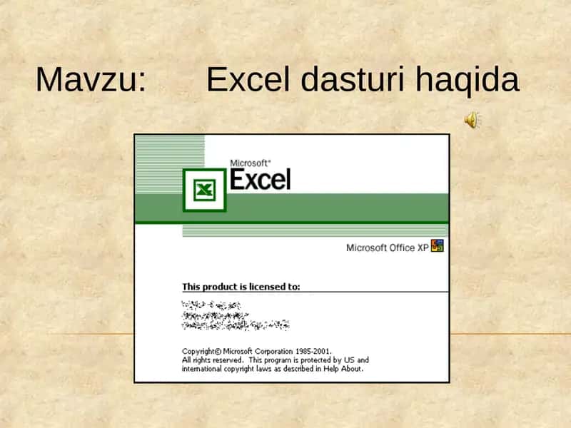 Excel dasturi haqida