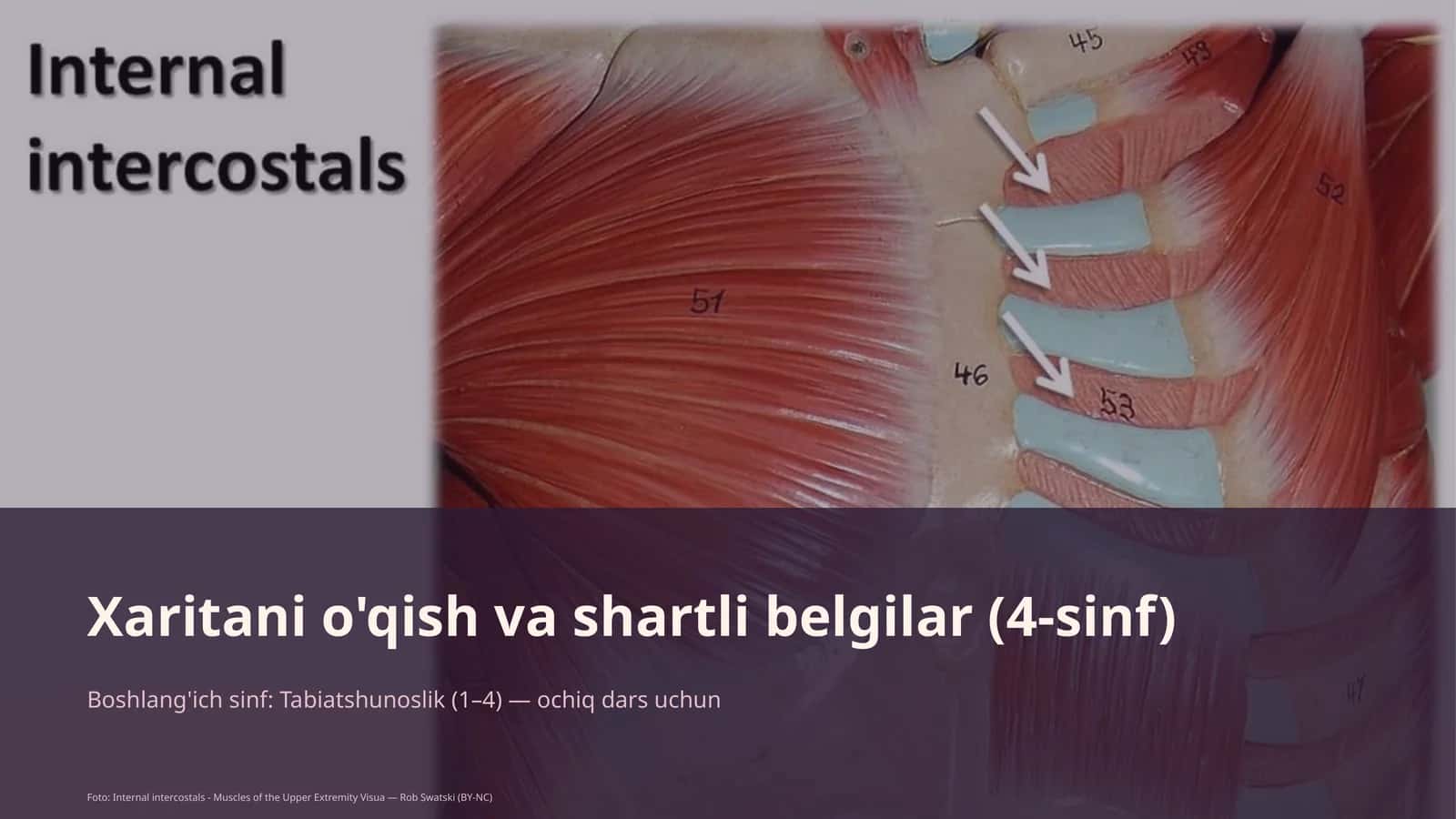 Xaritani o'qish va shartli belgilar (4-sinf)