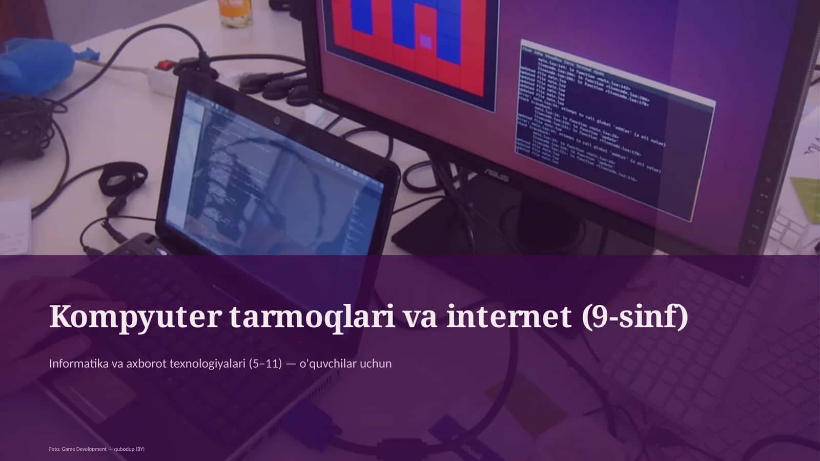 Kompyuter tarmoqlari va internet (9-sinf)