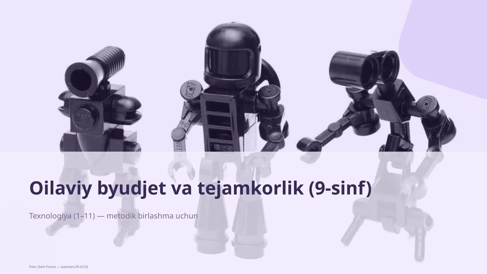 Oilaviy byudjet va tejamkorlik (9-sinf)