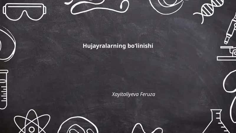 Mitozning bosqichlari