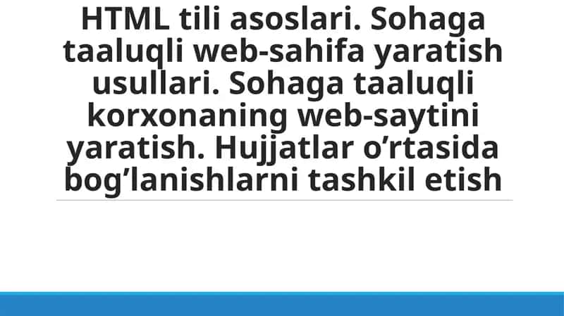 WEB SAYT va FRONTEND ASOSLARI