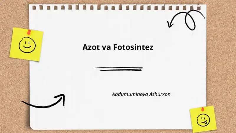 Azot va Fotosintez