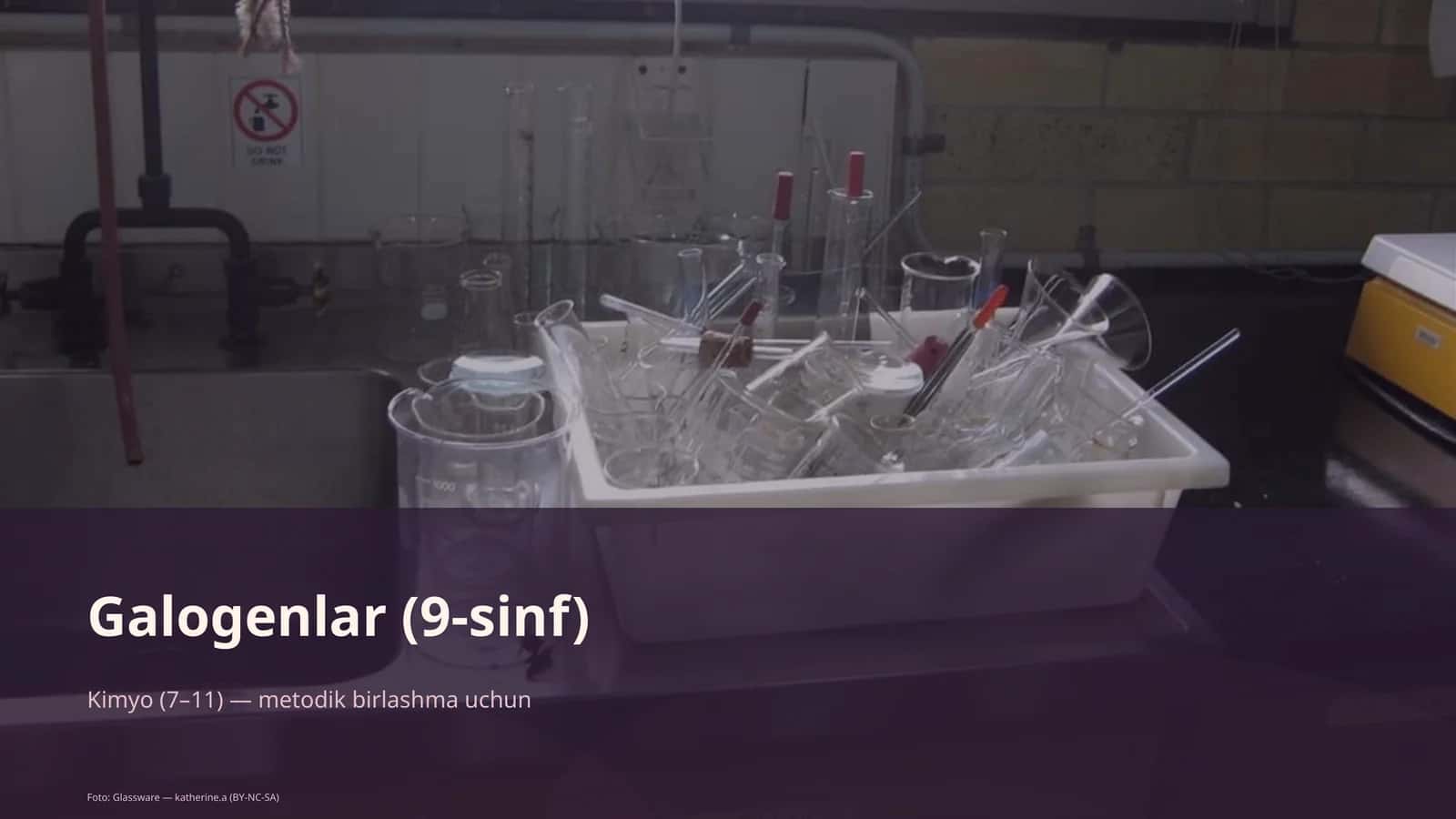 Galogenlar (9-sinf)