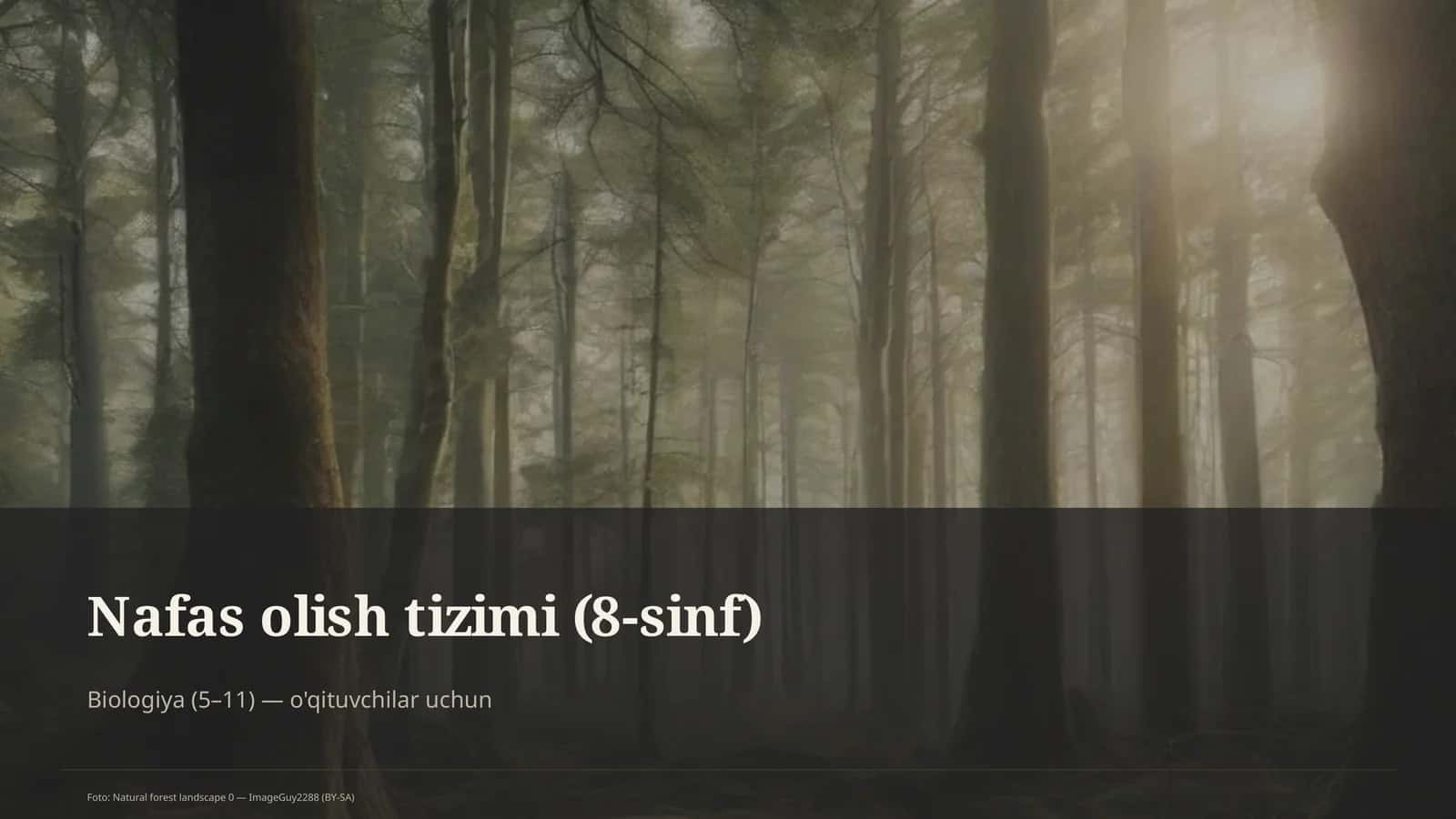 Nafas olish tizimi (8-sinf)